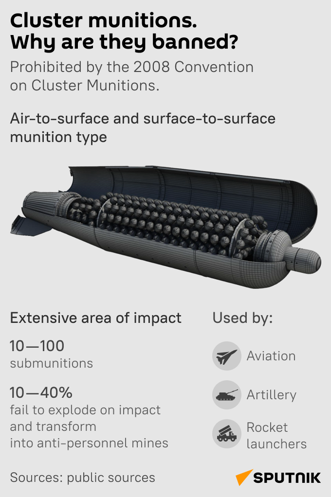 Cluster munitions - Sputnik India