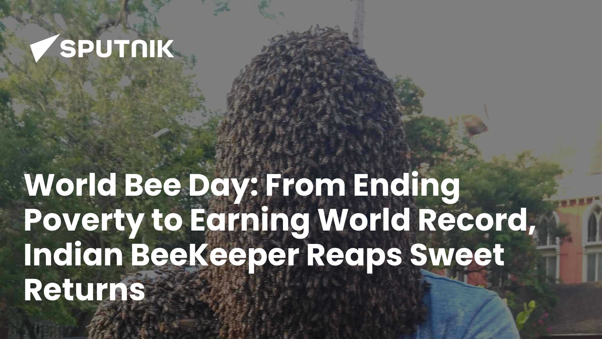 World Bee Day From Ending Poverty to Earning World Record, Indian