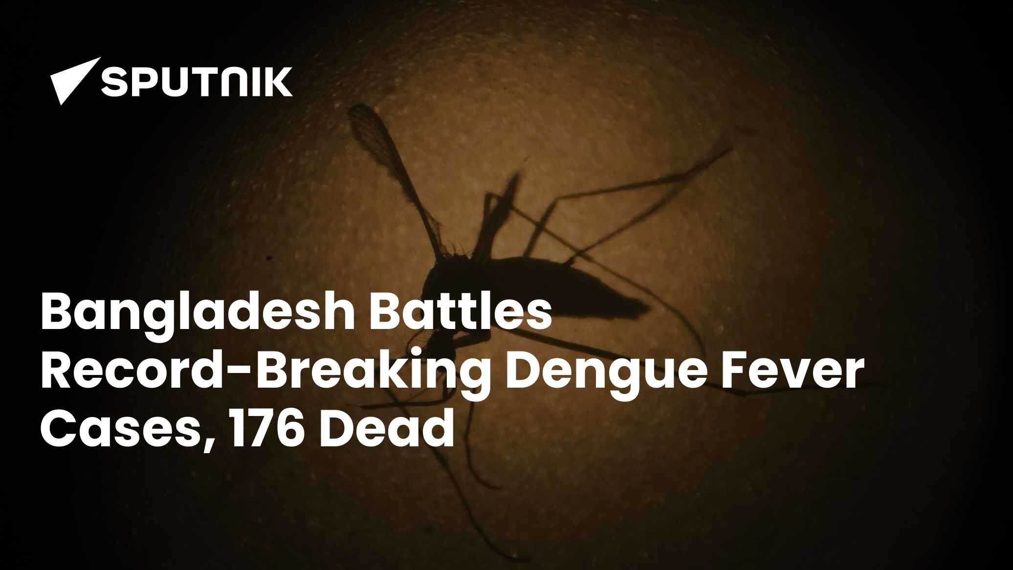 Bangladesh Battles Record-Breaking Dengue Fever Cases, 176 Died