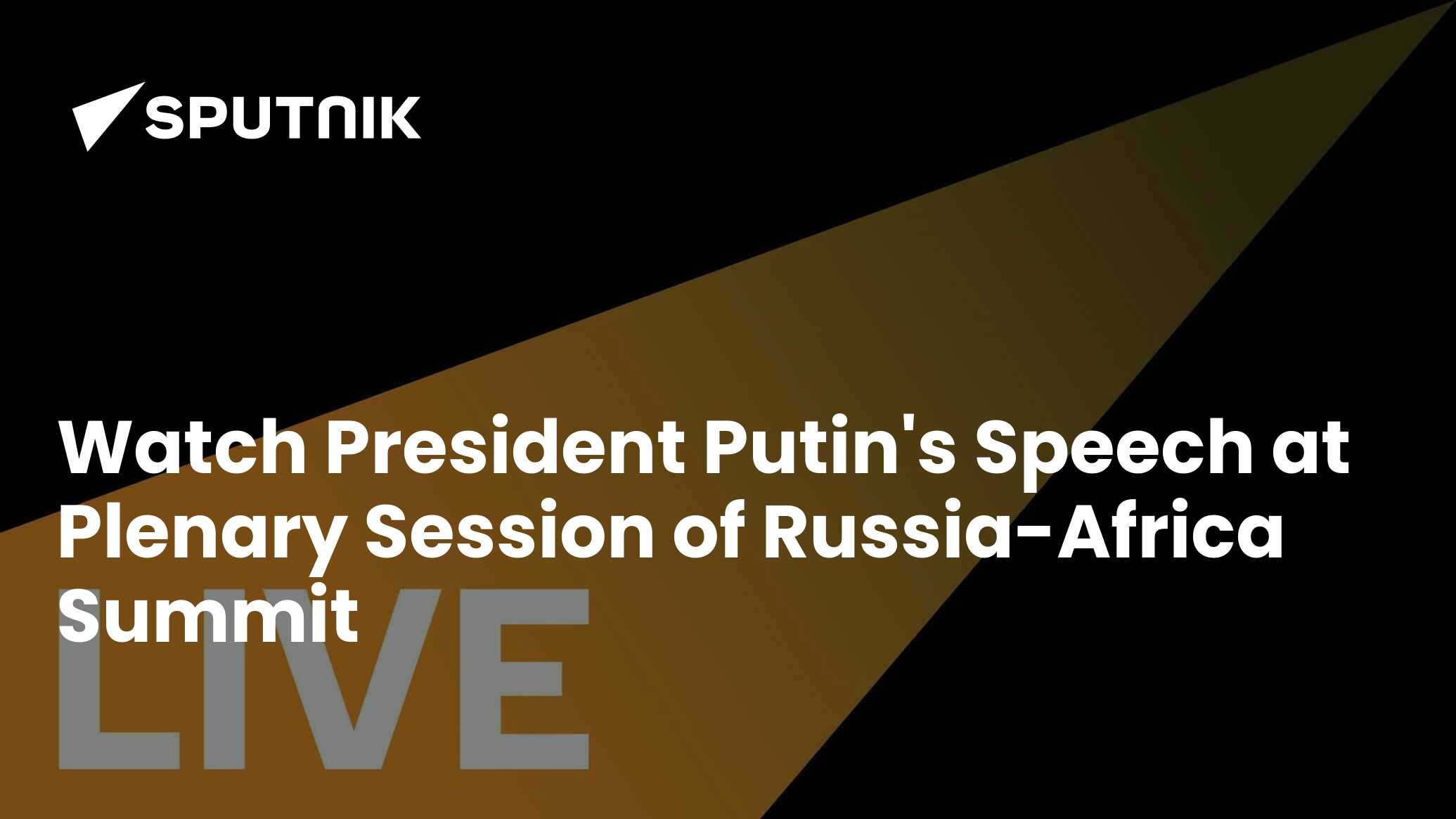 Watch President Putin's Speech at Plenary Session of RussiaAfrica Summit