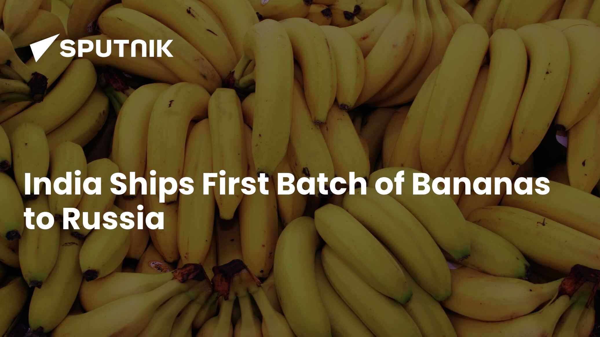 India Sends First Batch of Bananas to Russia