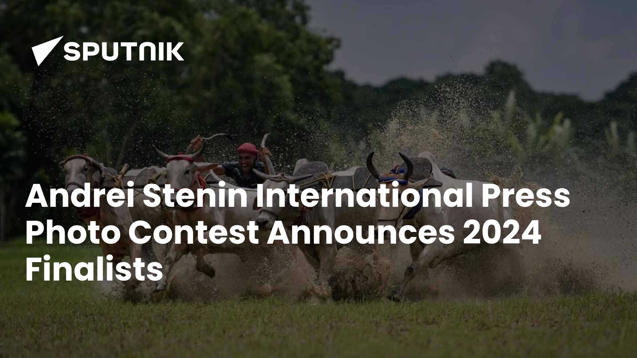 Andrei Stenin International Press Photo Contest announces 2024 finalists