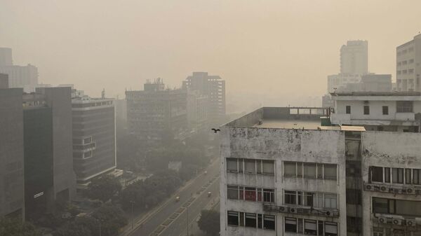 A bird flies with the horizon enveloped by smog and haze in New Delhi, India, Friday, Nov. 4, 2022. - Sputnik India