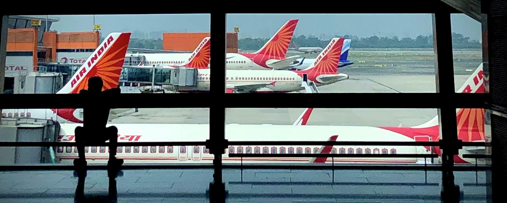 Air India planes are parked at Indira Gandhi International Airport in New Delhi, India, Monday, Aug. 30, 2021 - Sputnik India, 1920, 19.04.2024