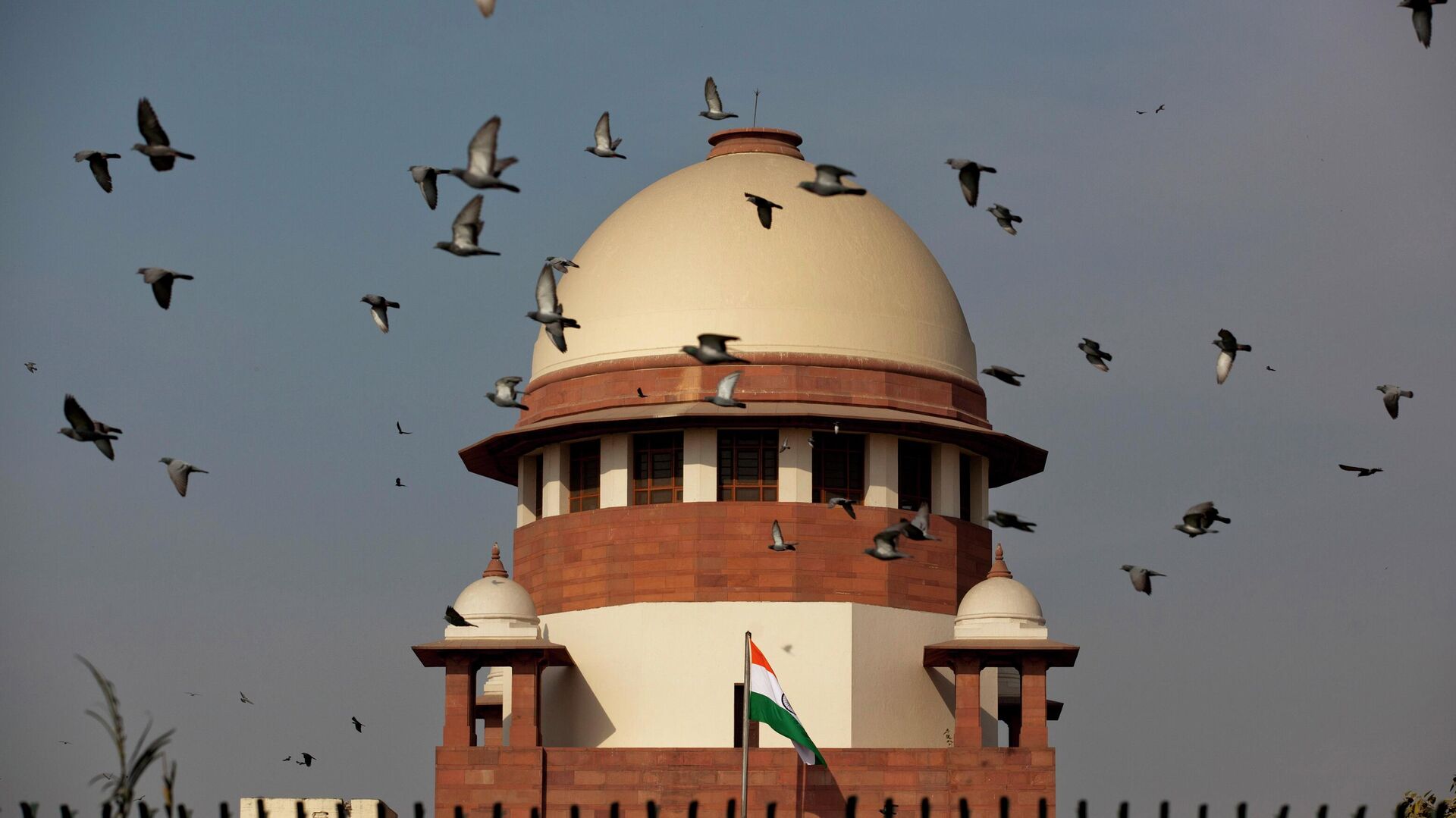 Pigeons fly past the dome of India's Supreme Court in New Delhi, India, Tuesday, Feb. 2, 2016. - Sputnik India, 1920, 25.01.2023