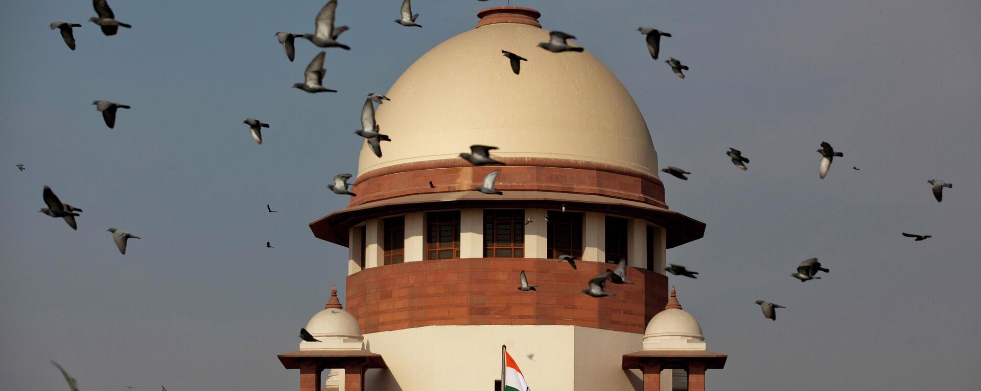Pigeons fly past the dome of India's Supreme Court building in New Delhi, India, Tuesday, Feb. 2, 2016. - Sputnik India, 1920, 17.04.2023