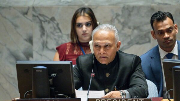 Briefing on Afghanistan at the UNSC under Indian presidency - Sputnik भारत