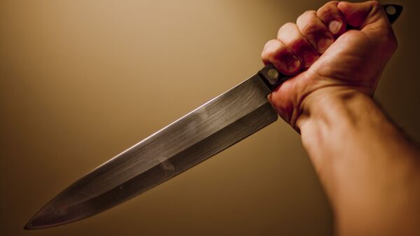 butcher knife - Sputnik India