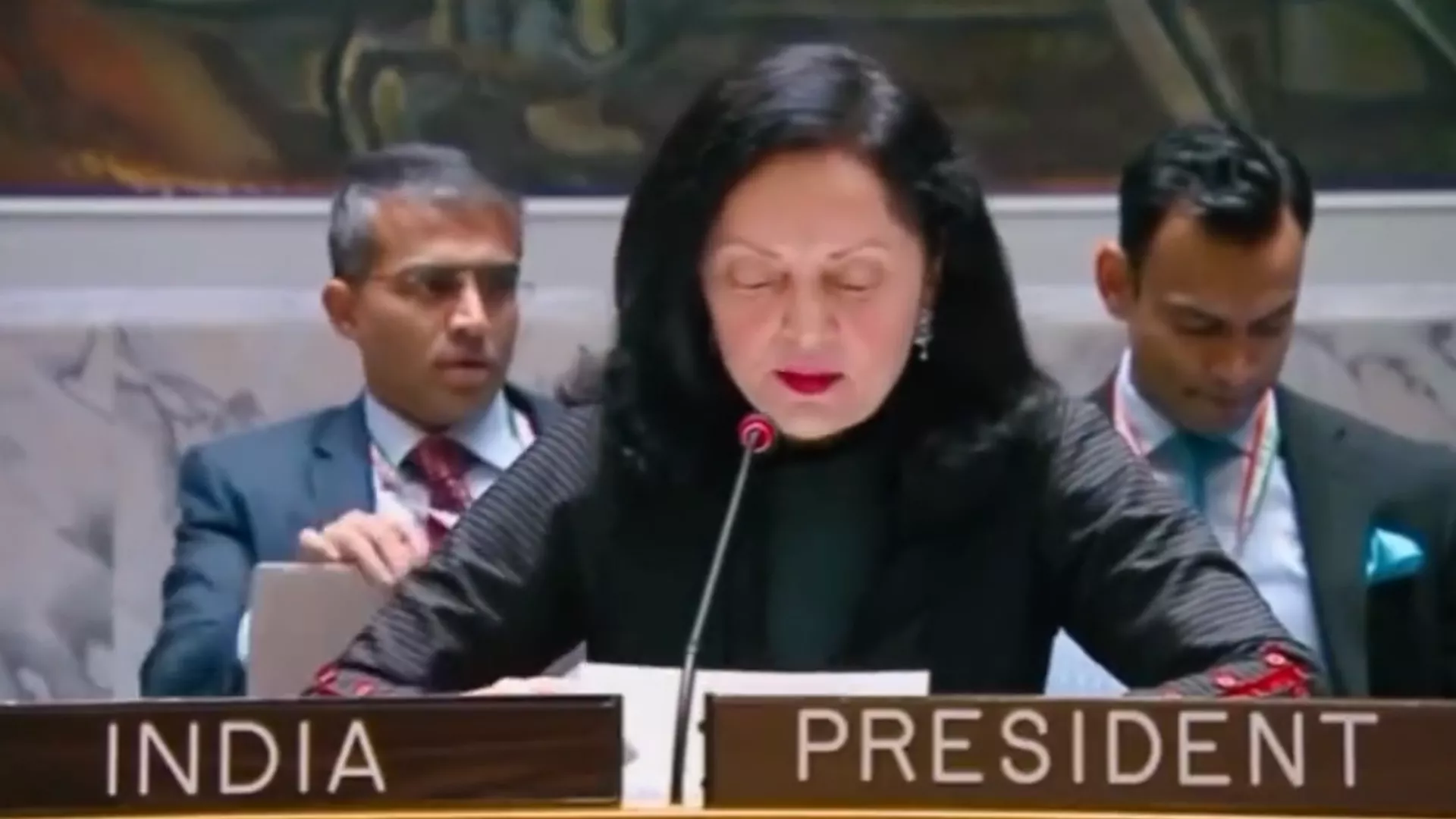 Ruchira Kamboj, UN