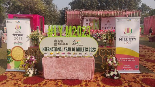 2023 is International Year of The Millet by United Nation - Sputnik India
