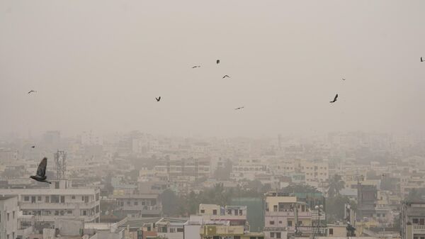 Pigeons fly in a fog enveloped sky on a cold morning in Hyderabad, India, Friday, Jan. 6, 2023.  - Sputnik भारत