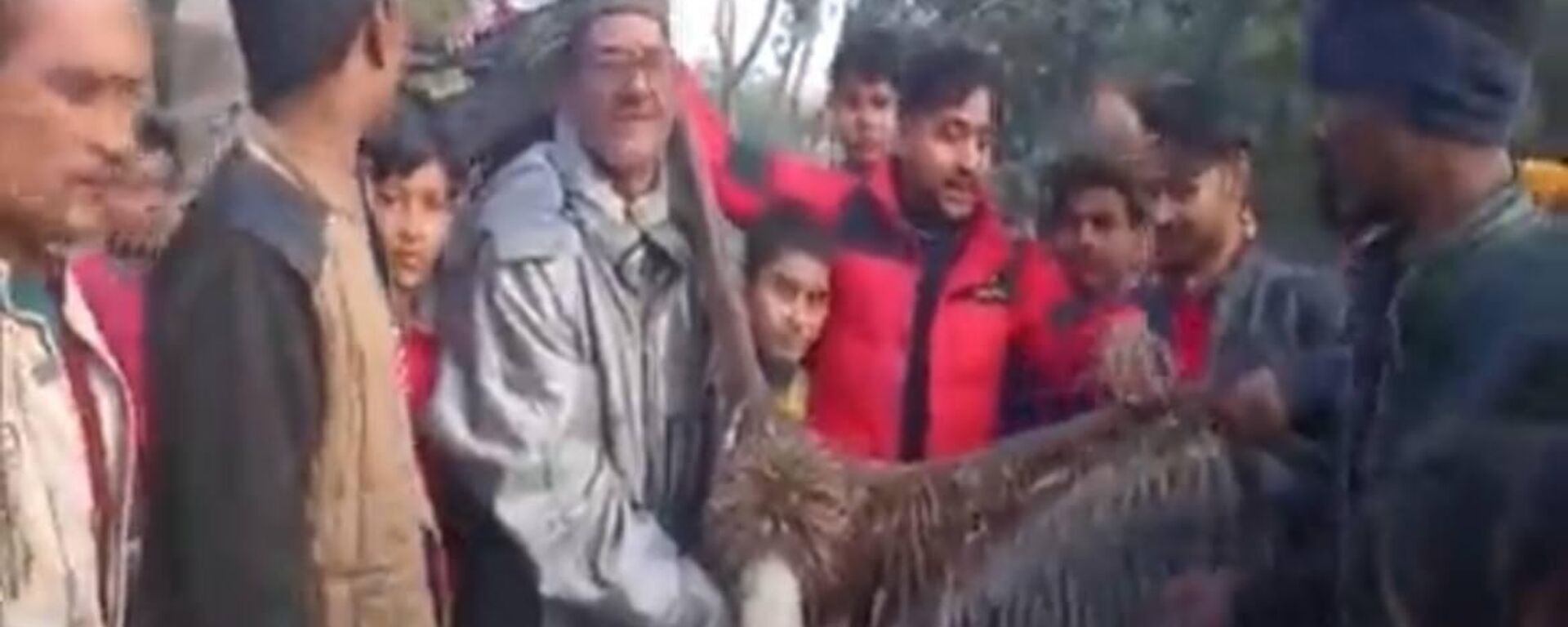 A rare vulture was rescued in Uttar Pradesh - Sputnik India, 1920, 09.01.2023