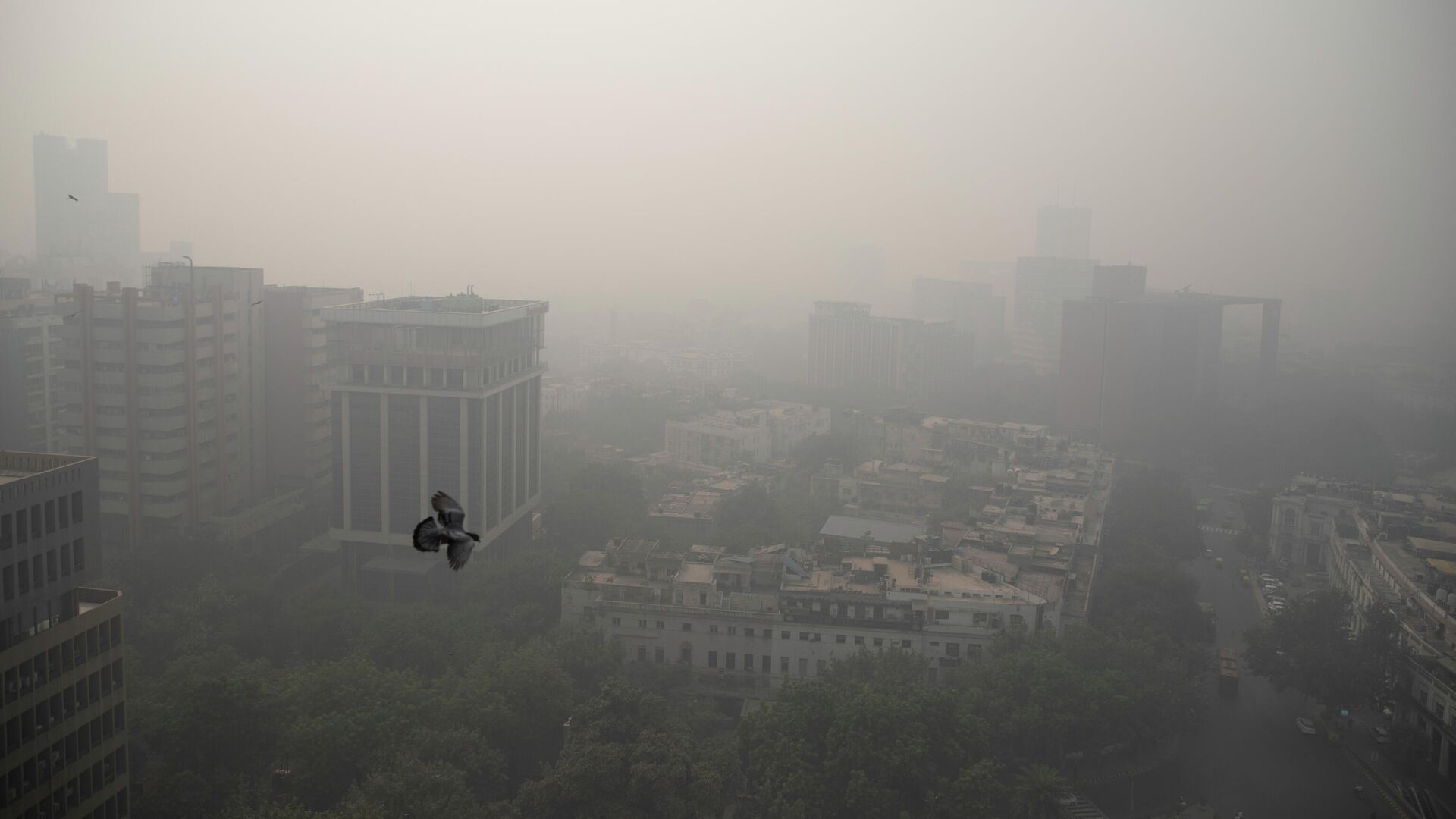 Smog envelopes the skyline in New Delhi, India, Wednesday, Nov. 4, 2020 - Sputnik India, 1920, 29.01.2023
