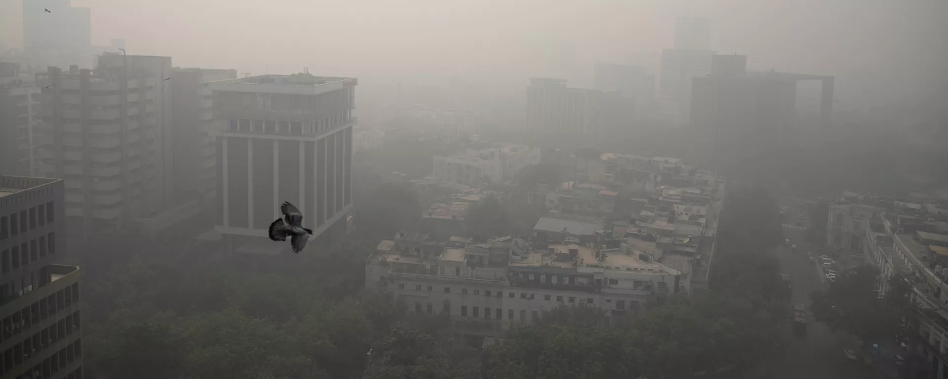 Smog envelopes the skyline in New Delhi, India, Wednesday, Nov. 4, 2020 - Sputnik India, 1920, 11.01.2023
