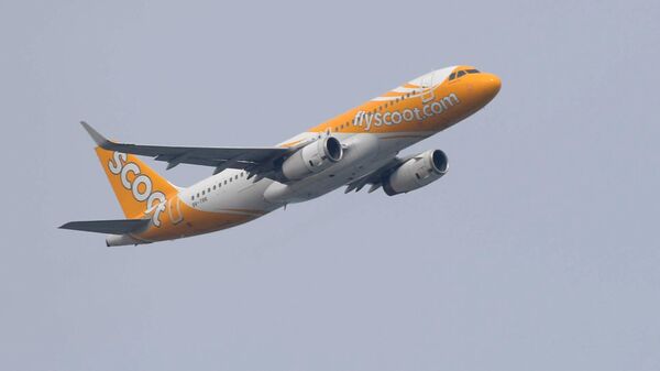 A passenger jet for Singapore’s low cost airline Scoot takes off from Singapore Changi Airport in Singapore on February 9, 2020. - Sputnik India