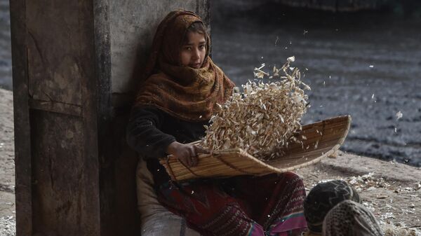 A child cleans garlic in a market in Lahore on January 24, 2021. - Sputnik India