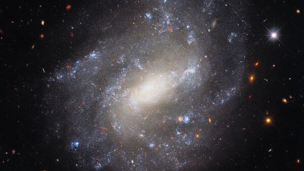 Image of spiral galaxy UGC 9391 taken by Hubble Space Telescope’s Wide Field Camera 3 - Sputnik भारत