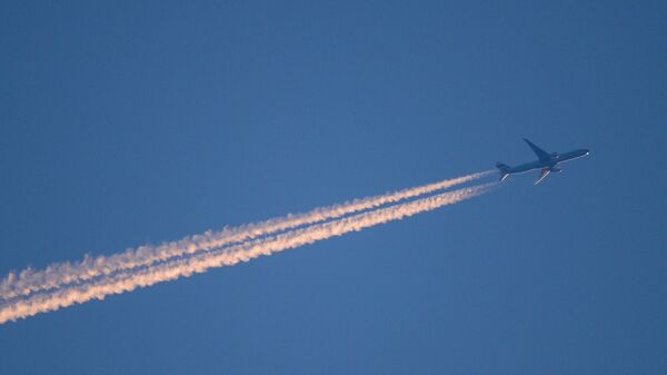 A plane in the sky. - Sputnik India