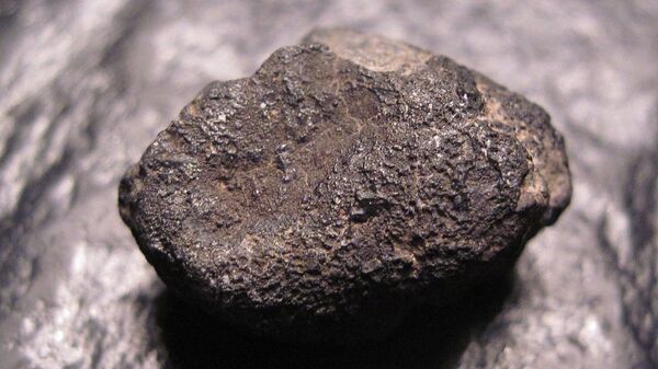 Allende meteorite - Sputnik भारत