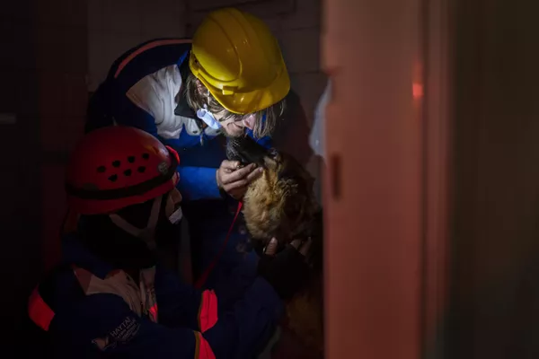 Members of the Turkish animal rights group HAYTAP, rescue a dog in Antakya, southeastern Turkey, on Sunday, Feb. 12, 2023. Members of the Turkish animal rights group HAYTAP, rescue a dog in Antakya, southeastern Turkey, on Sunday, Feb. 12, 2023. - Sputnik India