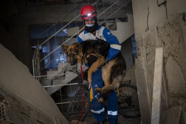 Mehmet Gurkan, a member of the Turkish animal rights group HAYTAP, rescues a dog that was trapped for seven days inside a house affected by the earthquake in Antakya, southeastern Turkey, on Sunday, Feb. 12, 2023. - Sputnik India