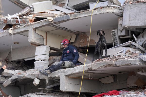 A rescuer with a sniffer dog searches in a destroyed building in Antakya, southeastern Turkey, Friday, Feb. 10, 2023. - Sputnik India