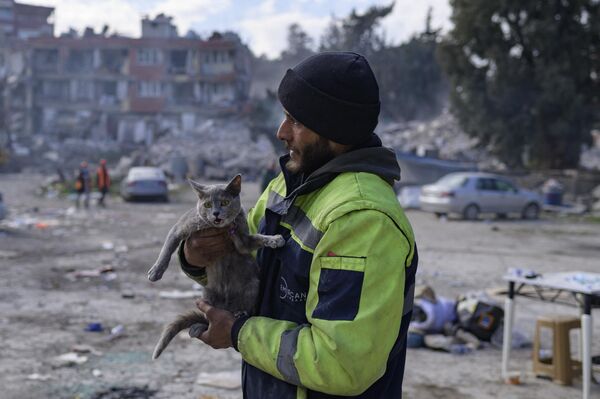 A man holds a cat he rescued from a building as rescuers are at work to extract bodies of victims from the rubble of collapsed buildings in Antakya, south of Hatay, on February 15, 2023, nine days after a 7,8-magnitude struck the country's southeast. - Sputnik India