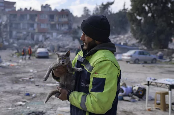 A man holds a cat he rescued from a building as rescuers are at work to extract bodies of victims from the rubble of collapsed buildings in Antakya, south of Hatay, on February 15, 2023, nine days after a 7,8-magnitude struck the country's southeast. A man holds a cat he rescued from a building as rescuers are at work to extract bodies of victims from the rubble of collapsed buildings in Antakya, south of Hatay, on February 15, 2023, nine days after a 7,8-magnitude struck the country's southeast. - Sputnik India