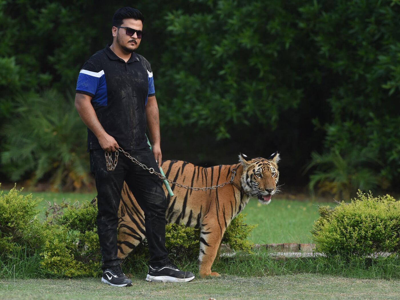 Pakistan's Elite Keeping Exotic Wild Animals to Display Wealth