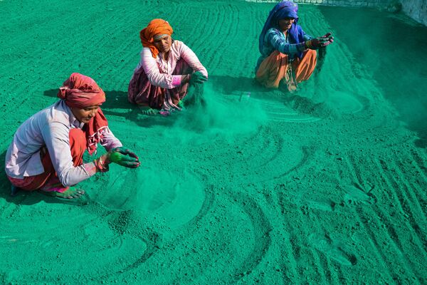 Workers prepare to dry &#x27;Gulal&#x27; or coloured powder popularly used during the Hindu spring festival of Holi, before the packing process at a workshop in Mathura on February 25, 2023. - Sputnik India