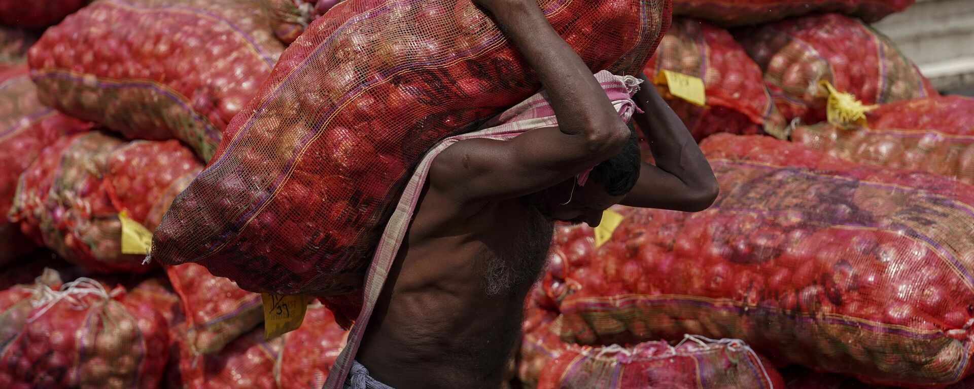 A worker carries a sack of onions at a wholesale market in Hyderabad, India, Wednesday, Feb. 1, 2023. - Sputnik India, 1920, 13.03.2023