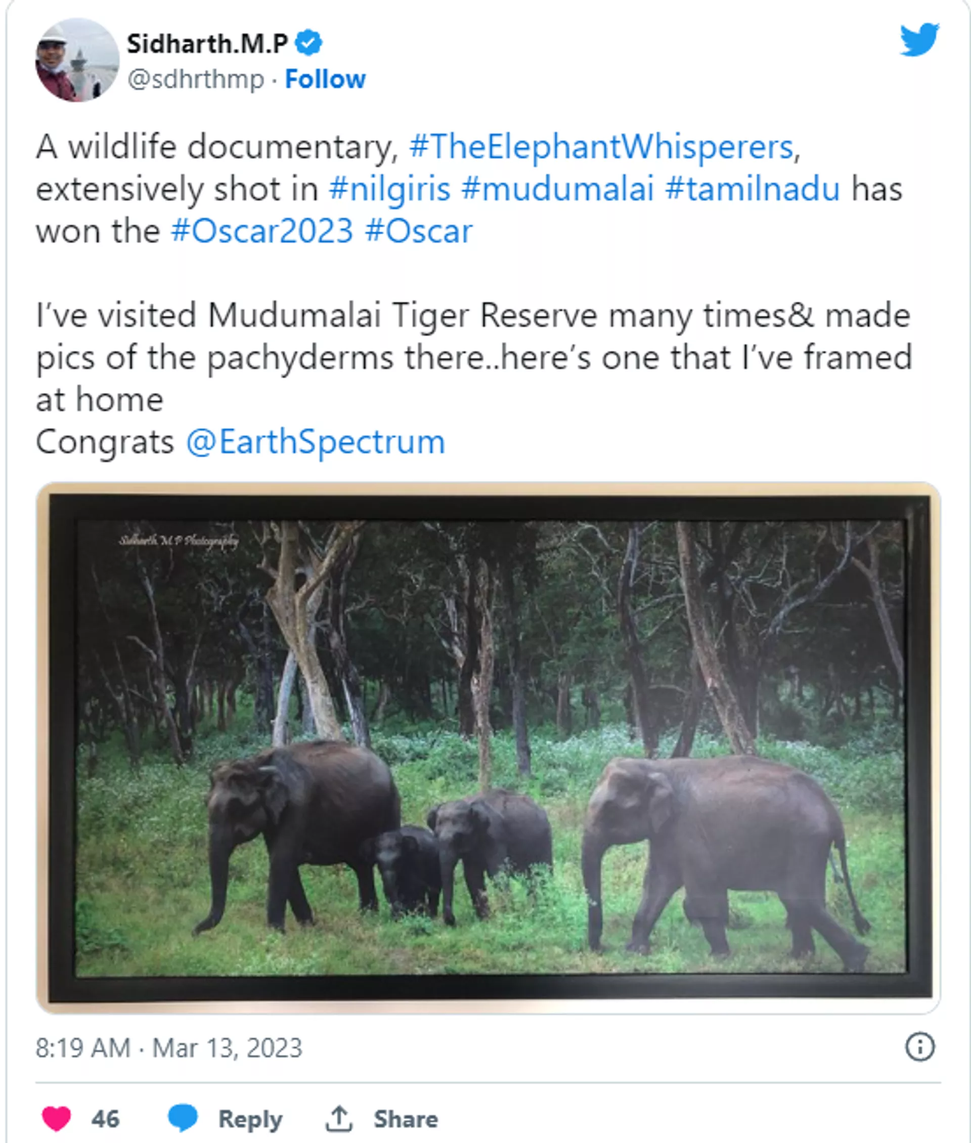 Netizen tweets about visiting Tamil Nadu’s Mudumalai Tiger Reserve to see adopted orphan baby elephants by tribal couple Bomman and Bellie Netizen tweets about visiting Tamil Nadu’s Mudumalai Tiger Reserve to see adopted orphan baby elephants by tribal couple Bomman and Bellie - Sputnik India, 1920, 14.03.2023