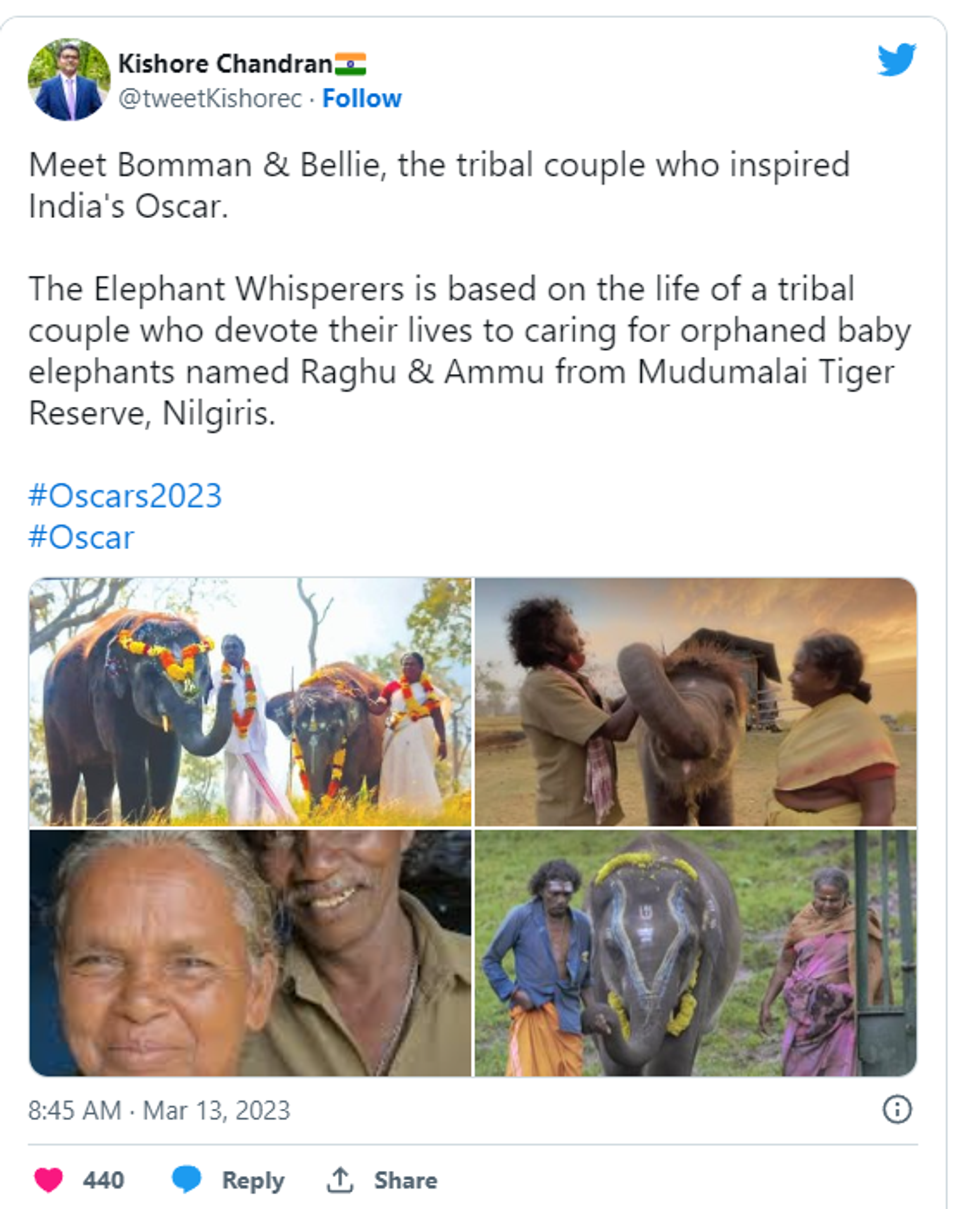 Netizen tweets about visiting Tamil Nadu’s Mudumalai Tiger Reserve to see adopted orphan baby elephants by tribal couple Bomman and Bellie   - Sputnik India, 1920, 14.03.2023