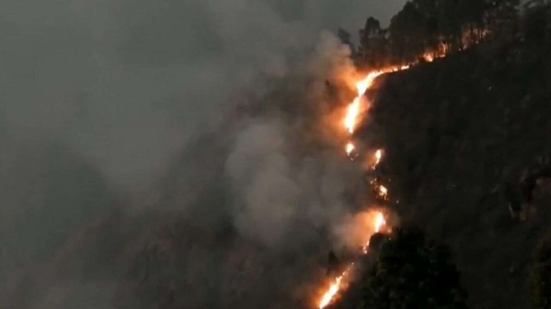 A massive forest fire in Tamil Nadu's Kodaikanal Hills  - Sputnik India, 1920, 15.03.2023