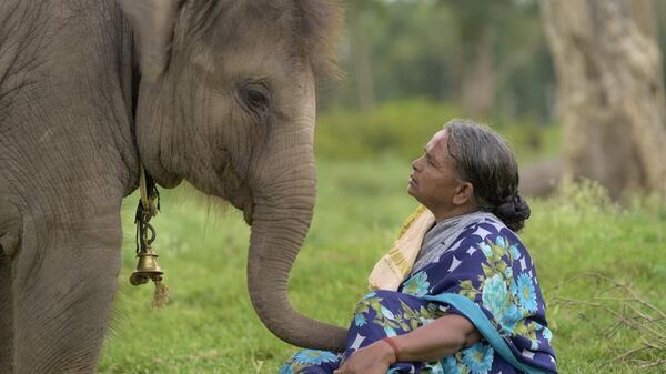 The Elephant Whisperers - Sputnik भारत