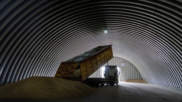 A dump track unloads grain in a granary in the village of Zghurivka, Ukraine, Aug. 9, 2022. - Sputnik India