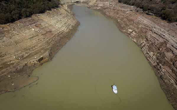 Fishermen use a net to catch fish that would struggle to survive in the low-oxygen water in order to protect drinking water in the Sau reservoir, about 100 km (62 miles) north of Barcelona. Spain, Monday, March 20, 2023. - Sputnik भारत