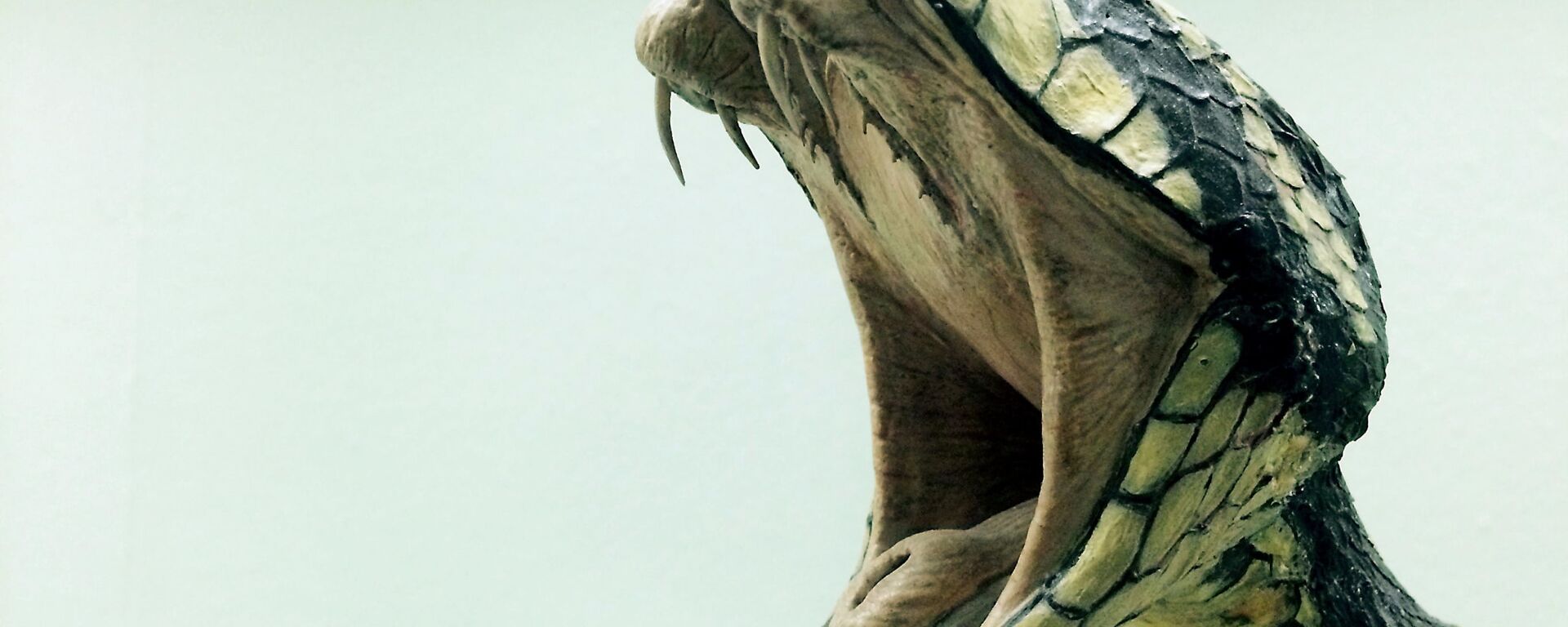 Snake - Sputnik भारत, 1920, 06.04.2026