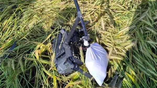 Alert BSF troops detected a drone infiltrating into Indian territory from Pakistan side in the area of BOP Rajatal, Sector Amritsar, Punjab - Sputnik भारत