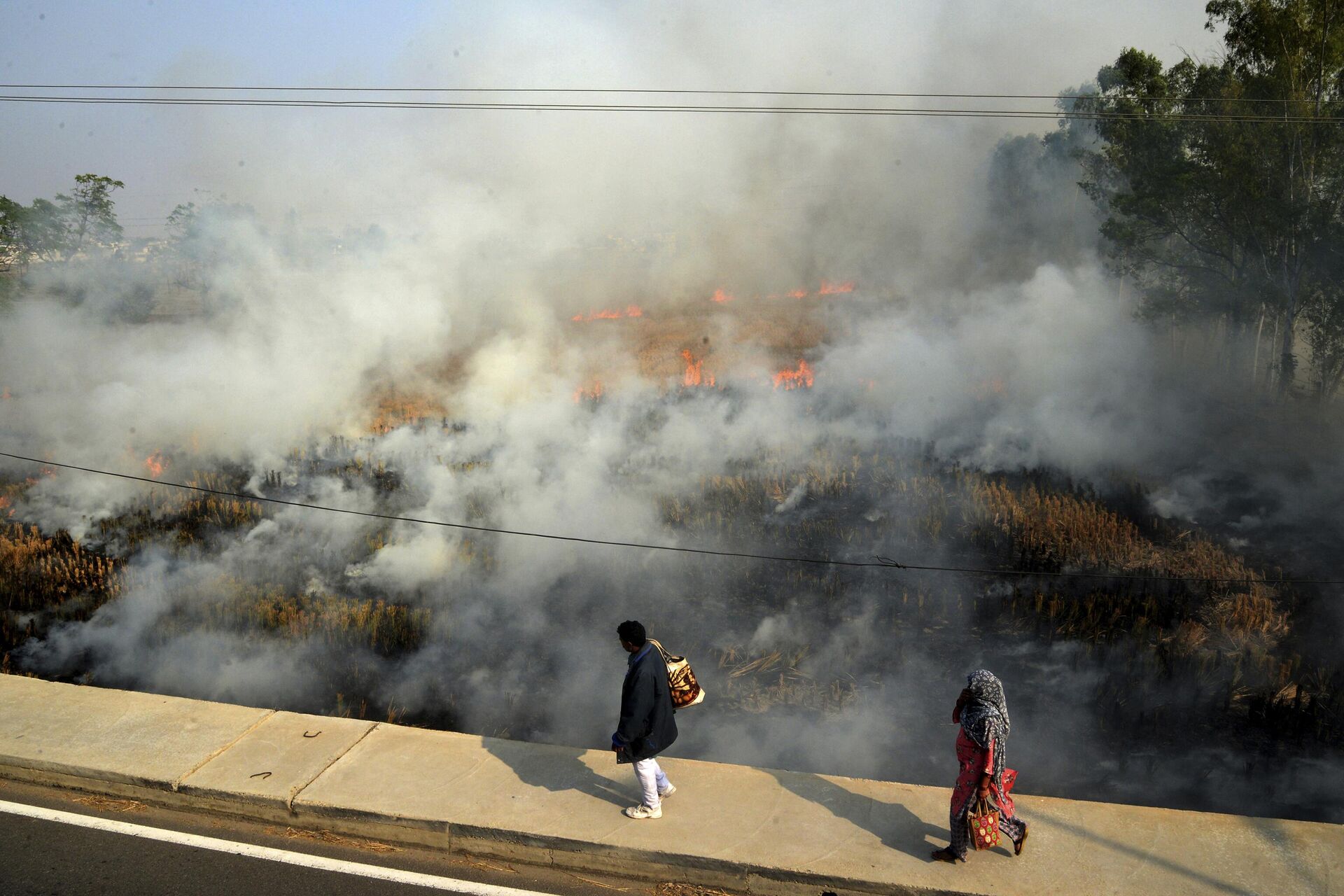 A couple walks past crop stubble set on fire by farmers on the out skirts of Jalandhar, in the northern Indian state of Punjab, Wednesday, Nov. 17, 2021. - Sputnik India, 1920, 05.11.2023