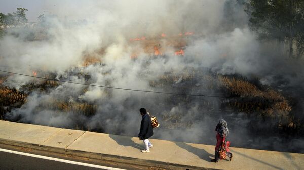 A couple walks past crop stubble set on fire by farmers on the out skirts of Jalandhar, in the northern Indian state of Punjab, Wednesday, Nov. 17, 2021. - Sputnik India