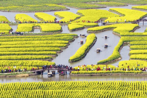 This photo taken on March 19, 2023 shows people watching blossoming rapeseed flowers at Xinghua Qianduo, a scenic area in Taizhou, in China&#x27;s eastern Jiangsu province. (Photo by AFP) / China OUT - Sputnik India