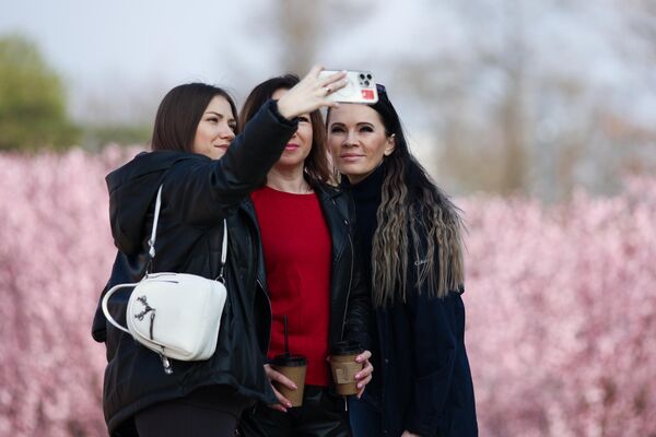 Three young ladies snapping some selfies with a decorative Nigra plum tree in the background of Krasnodar park. - Sputnik भारत