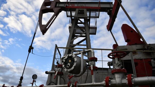 A  Russian oil rig. File photo - Sputnik India