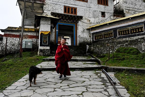 A young Buddhist monk walking around the Tawang monastery, a town in the northeast Indian state of Arunachal Pradesh on April 5, 2023. (Photo by Arun SANKAR / AFP) - Sputnik India