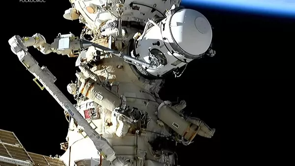 Russian cosmonauts Sergey Prokopyev and Dmitry Petelin have returned to the International Space Station (ISS) after a spacewalk that lasted more than seven hours - Sputnik भारत