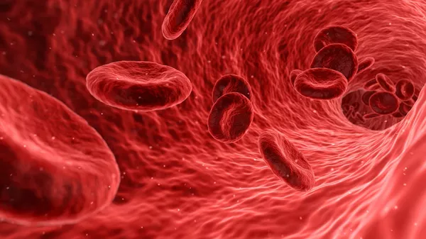 Red blood cells - Sputnik भारत