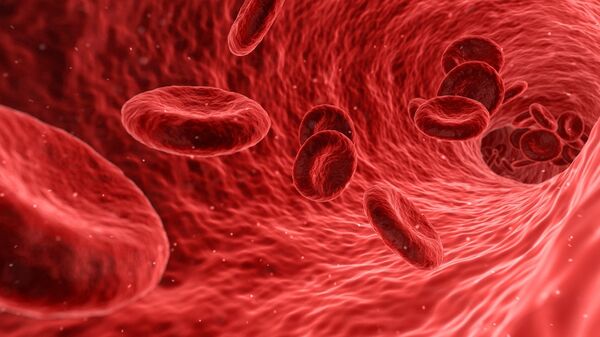Red blood cells - Sputnik भारत