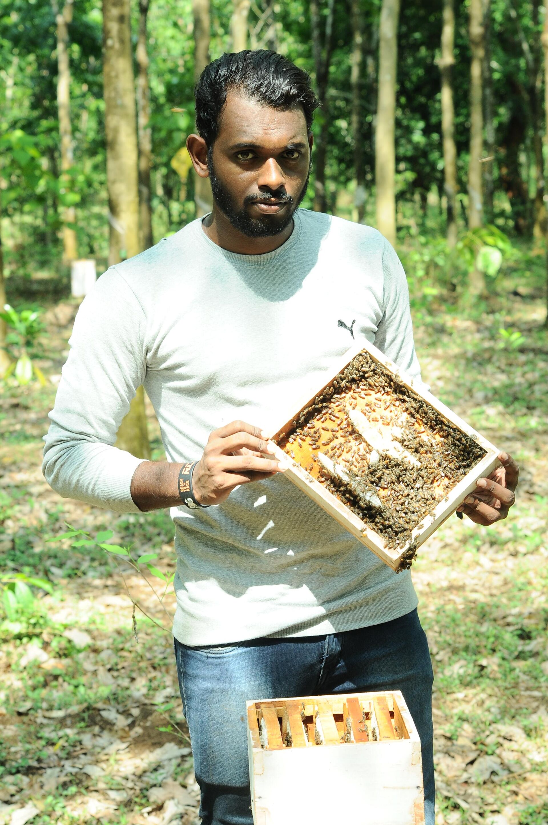 Beekeeper Nature  M.S unveil his face behind swamp of bees  - Sputnik India, 1920, 19.05.2023