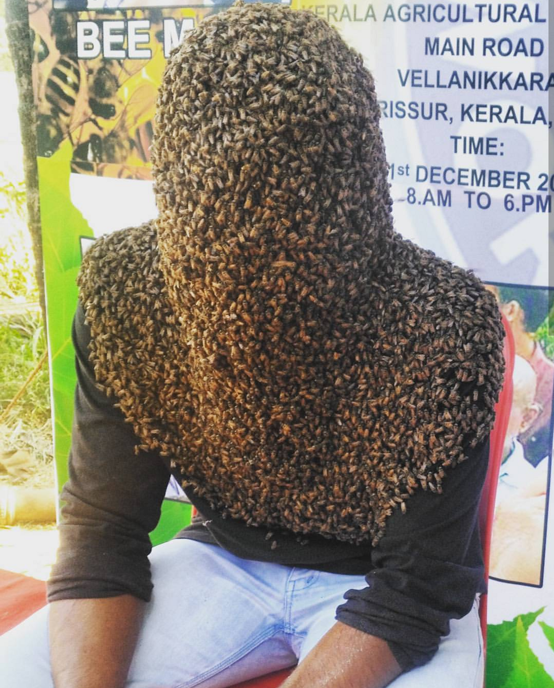 Beekeeper Nature M.S made Guinness World Records in 2018 for spending the longest duration of time with his head and face covered with 60,000 bees four hours, 10 minutes and five seconds. - Sputnik India, 1920, 19.05.2023